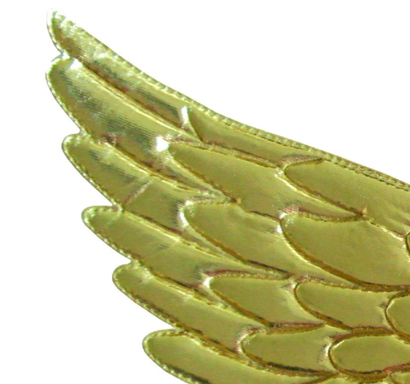 Ailes de licorne dorées – Image 3