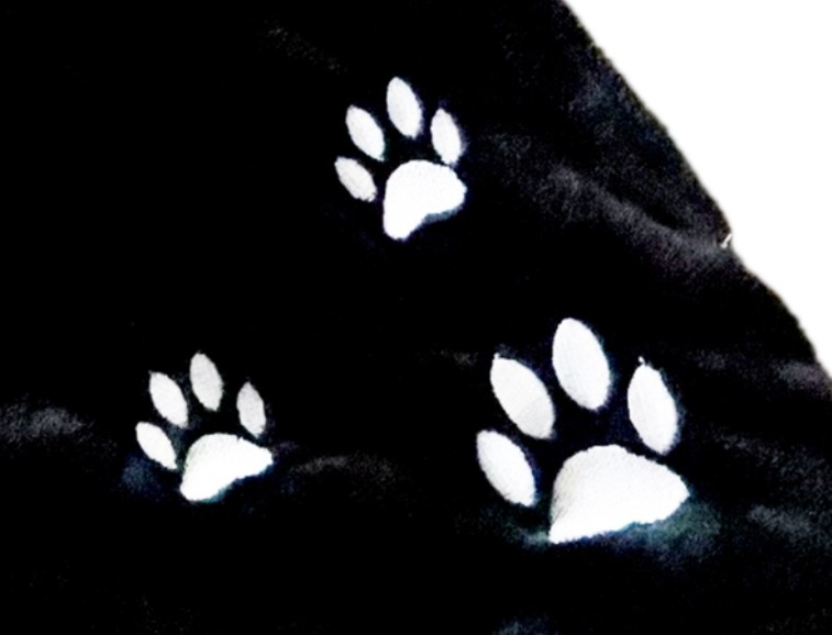 CAPE CHAT NOIR PRESCHOOL 2-3 ans – Image 4