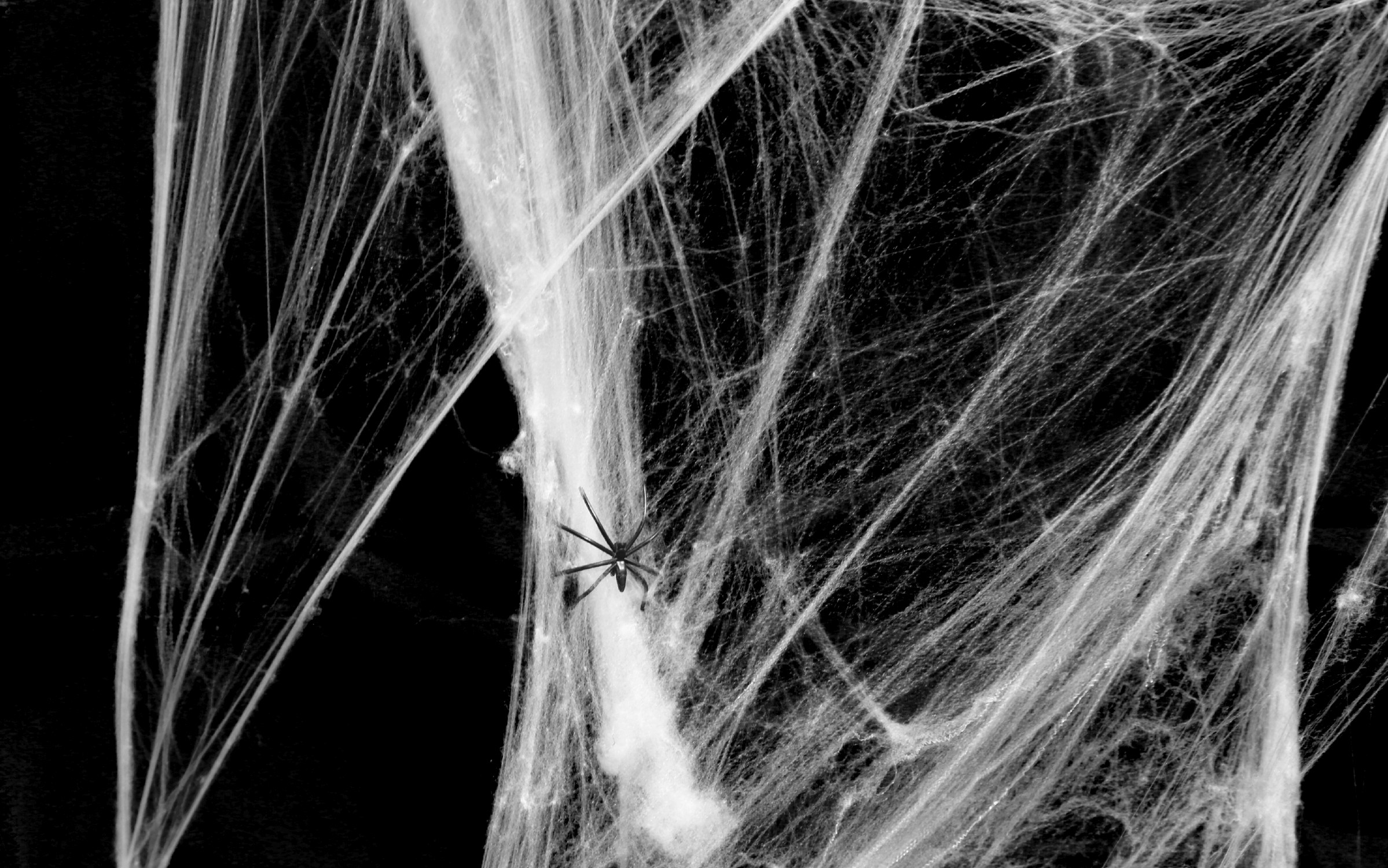 Toile d'araignée blanche 20g & 1 araignées plastique – Image 3