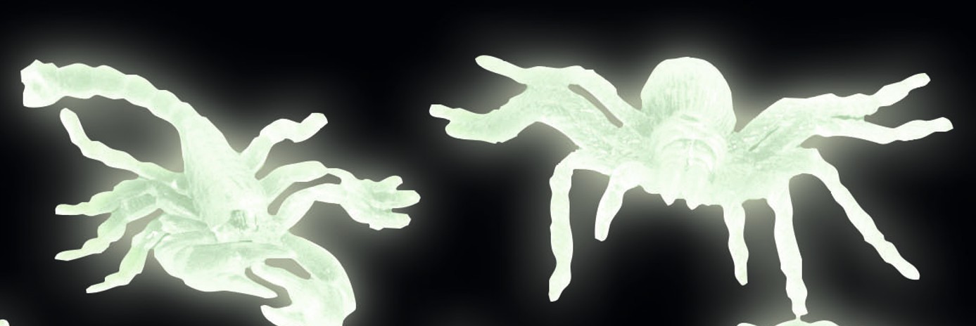 Sachet araignée et scorpions phosphorescents – Image 3