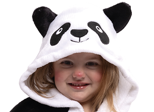 Cape panda preschool – Image 3